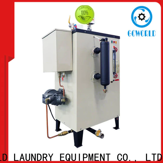 GOWORLD standard gas steam boiler low cost for Commercial